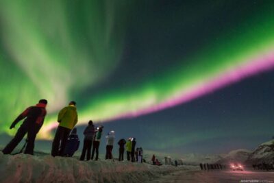 Northern Lights Photography Tour by Bus (or miniBus)