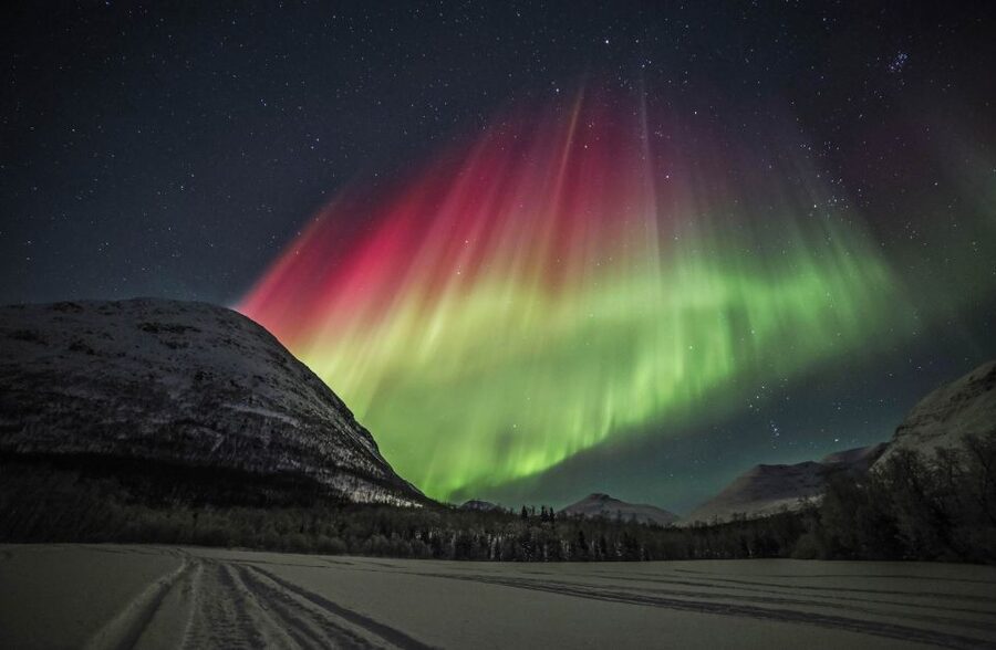 Tromso: Northern Lights Photography Tour by Bus (or miniBus) - Hot chocolate, cookies, and a long Arctic wait