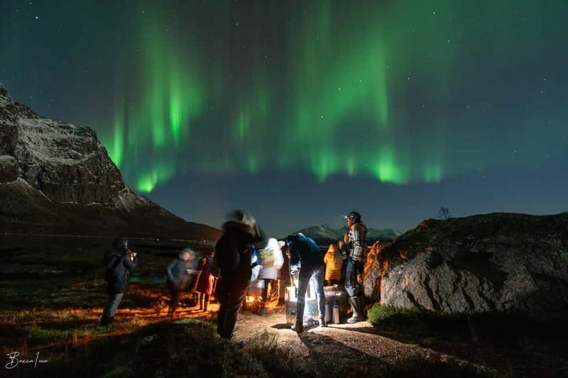 Tromsø: Northern Lights Safari - Why This Safari Works Better Than Waiting in Tromsø