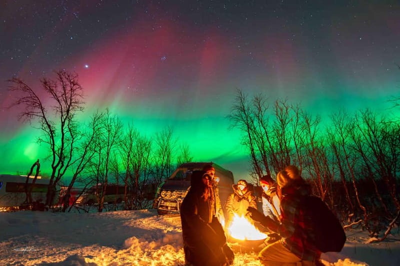 Tromsø: Northern Lights Safari - Standard Bus or Small Group of 15