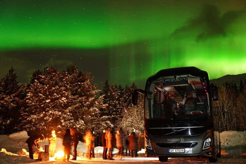 Tromsø: Northern Lights Safari - Practical Details Before You Book