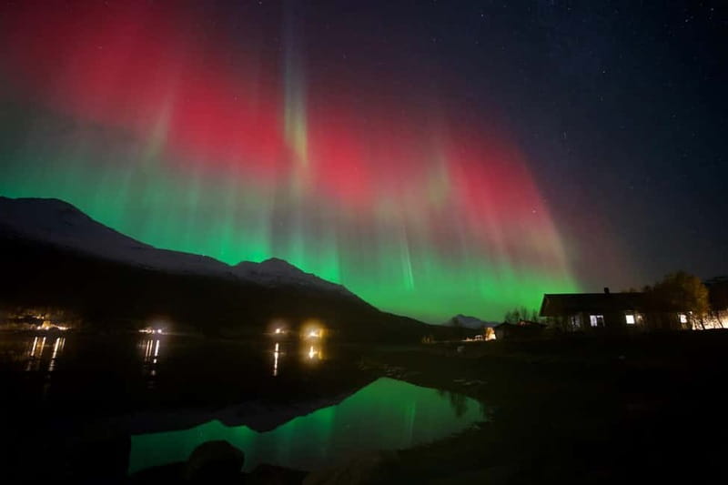 Tromsø: Northern Lights Tour - Key points to know before you book