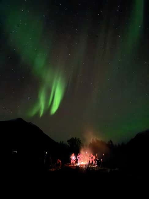 Tromsø: Northern Lights Tour - Bonfire, food, and a proper break from the cold