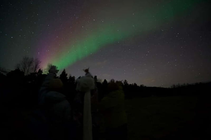 Tromsø: Northern Lights Tour - The guides make the biggest difference
