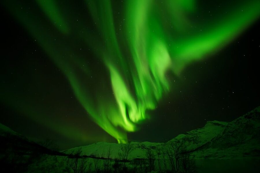Tromsø: Northern Lights Tour with Free Professional Portrait - Learning the aurora without losing the moment