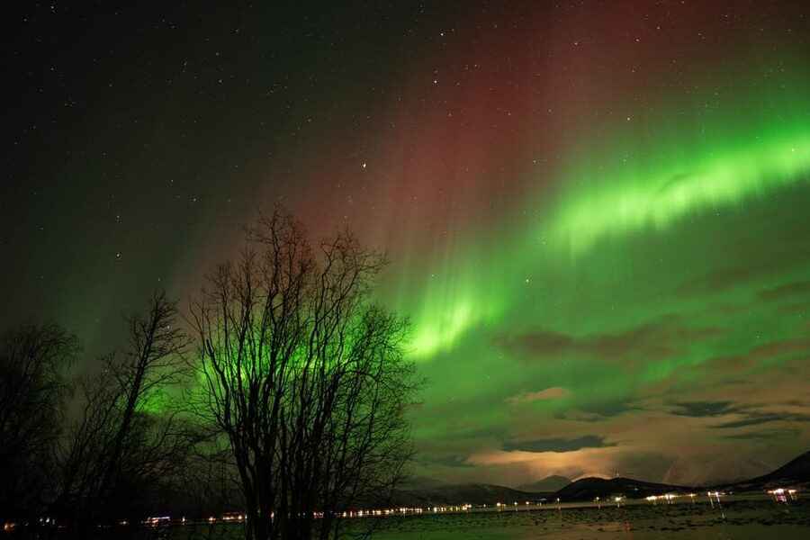 Tromsø: Northern Lights Tour with Local Guide and Photos - What happens when the aurora appears