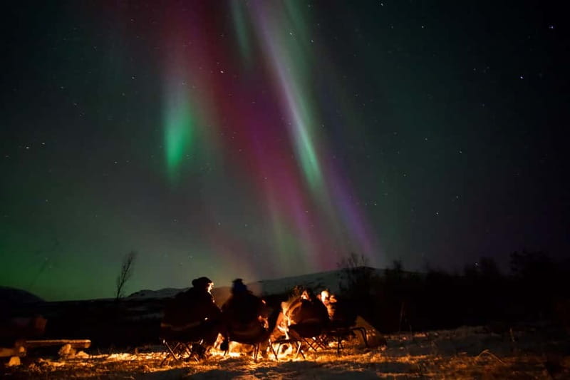 Tromsø: Northern Lights Tour - Meeting at Scandic Ishavshotel