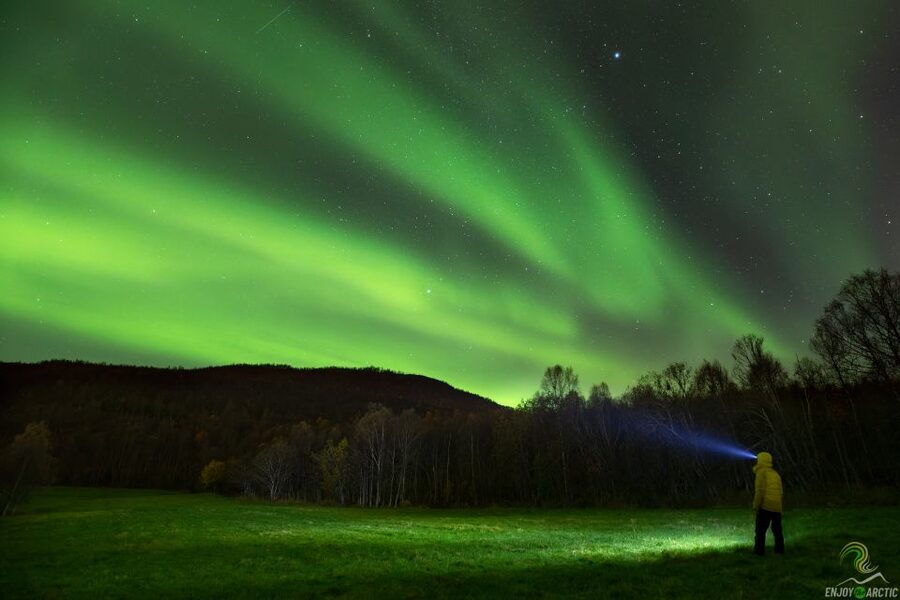 Tromsø: Northern Lights Trip with Campfire and Snacks - What this Tromsø aurora chase is really like