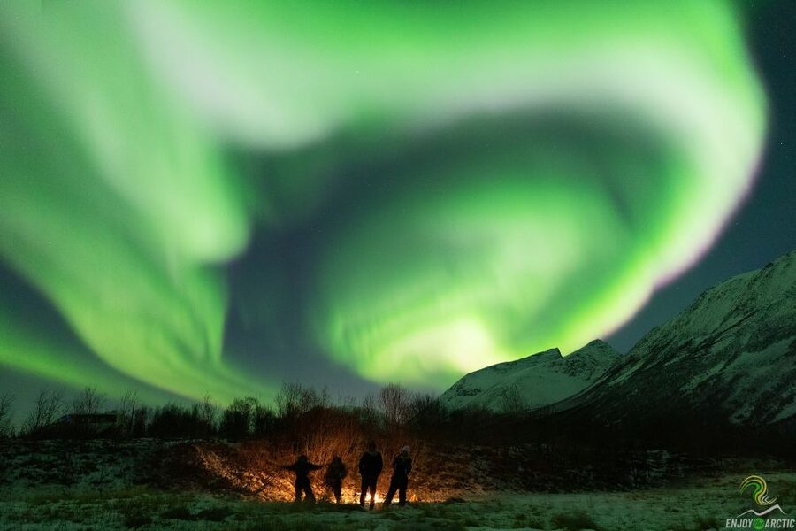 Tromsø: Northern Lights Trip with Campfire and Snacks - The campfire, cake, and waiting time