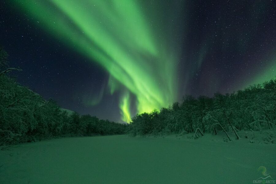 Tromsø: Northern Lights Trip with Campfire and Snacks - Camera help that you can use