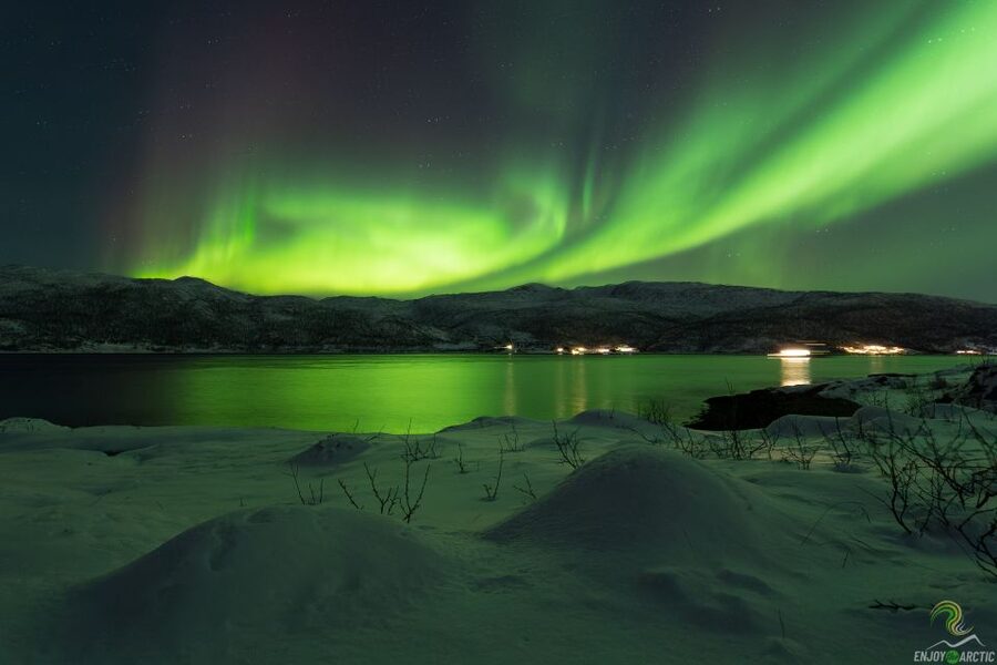 Tromsø: Northern Lights Trip with Campfire and Snacks - Who should choose this experience?