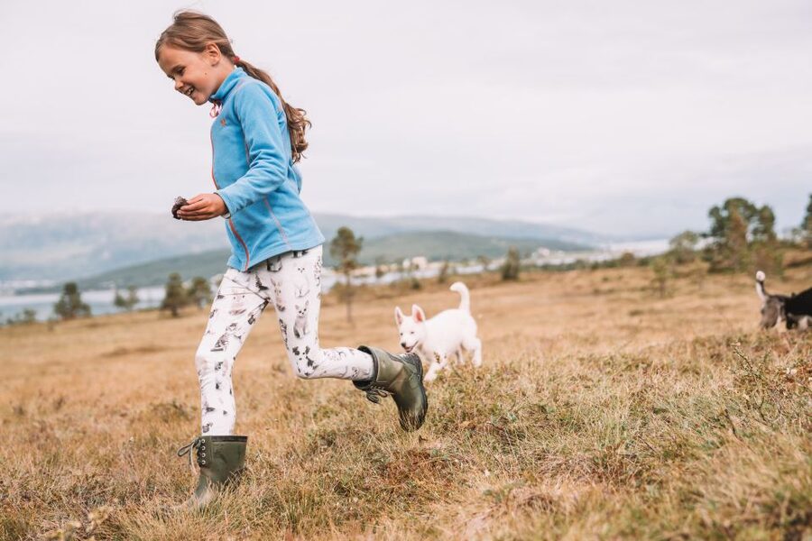 Tromsø: Puppy Training at the Husky Kennel with Lunch - Is $172 a fair price?