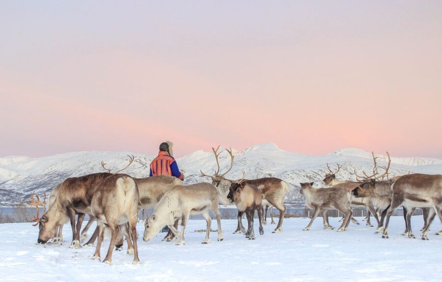 Tromsø: Reindeer Camp and Sami Cultural Tour with Lunch - Sami stories, family life, and joik singing