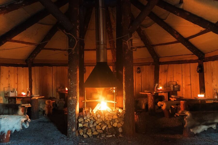Tromsø: Reindeer Sled, Dinner, and Chance of Northern Lights - Meeting a herd of 300 reindeer