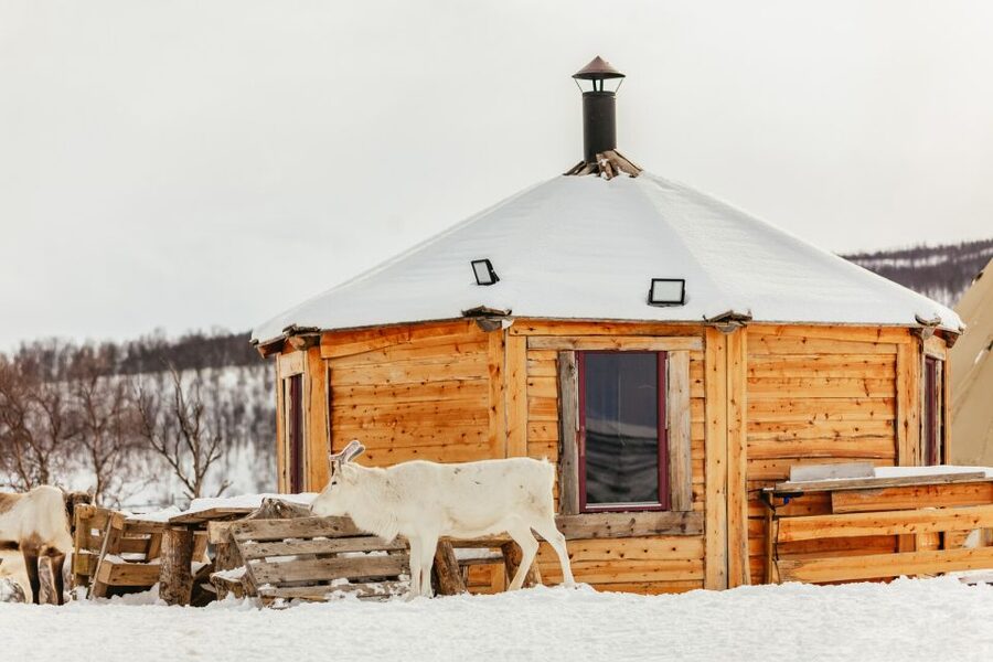 Tromsø: Reindeer Sledding & Feeding with a Sami Guide - Should you book the Tromsø reindeer tour?