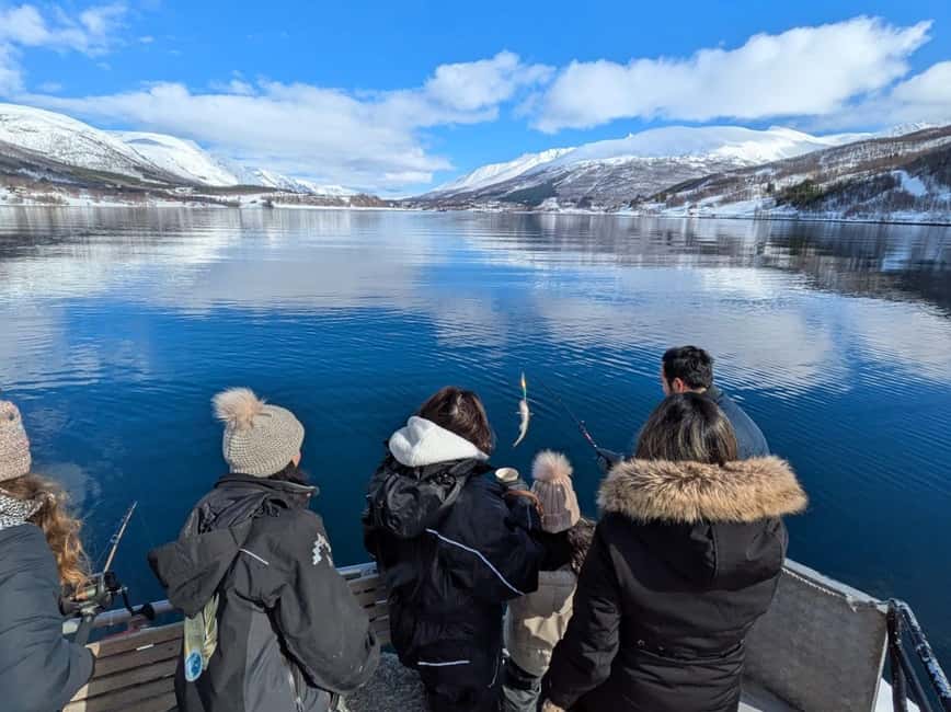 Tromsø’s Top-Rated Fjord & Fishing Cruise – All-Inclusive - Ryøya and the search for white-tailed eagles