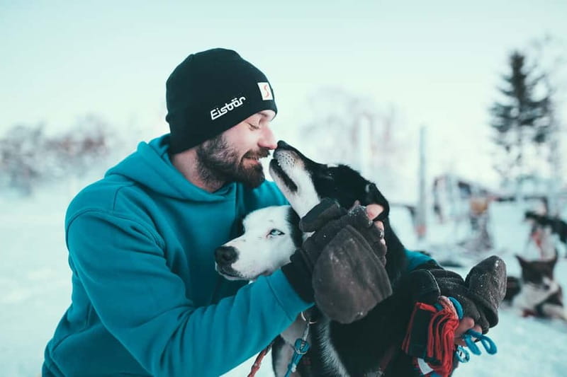 Tromsø: Self-Drive Husky Dog Sledding Adventure - Taking the Black Minibus from Central Tromsø
