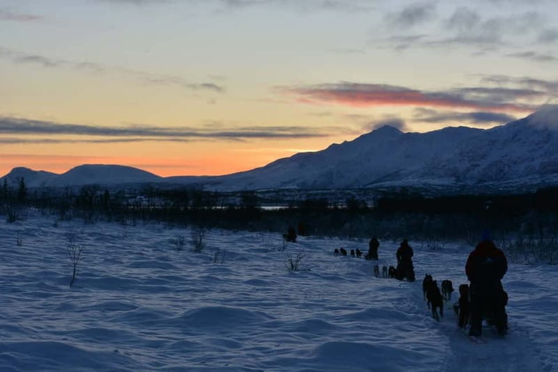 Tromsø: Self-Drive Husky Dog Sledding Adventure - Warm Suits, Boots, and the Right Clothing