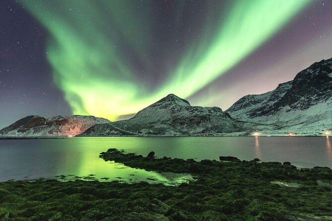 Tromso Snowshoeing - Valley, Fjord Views, Wildlife, Meal & Pickup - Key points to know before booking