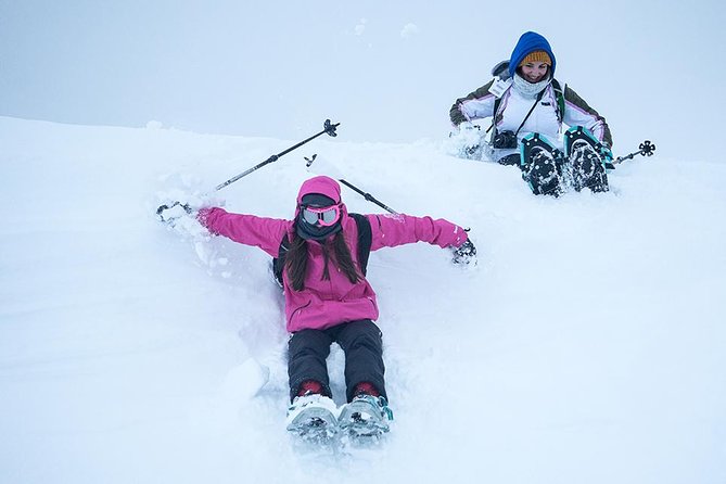 Tromso Snowshoeing - Valley, Fjord Views, Wildlife, Meal & Pickup - Leaving Tromsø for the Arctic countryside