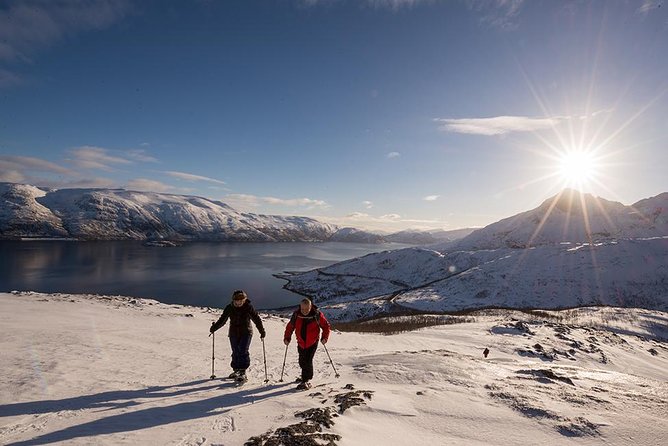 Tromso Snowshoeing - Valley, Fjord Views, Wildlife, Meal & Pickup - What the walk feels like