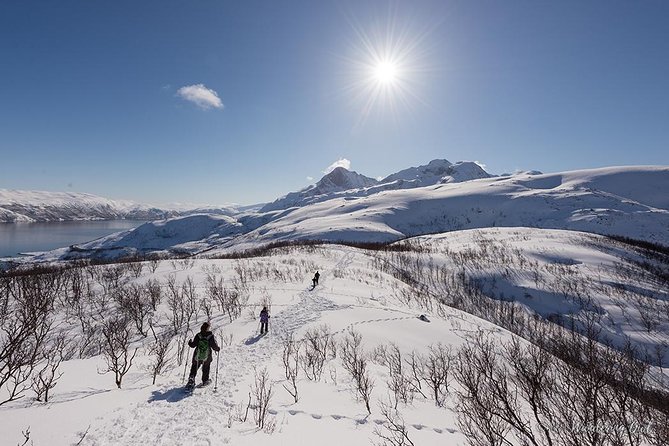 Tromso Snowshoeing - Valley, Fjord Views, Wildlife, Meal & Pickup - Is the $129 price fair?