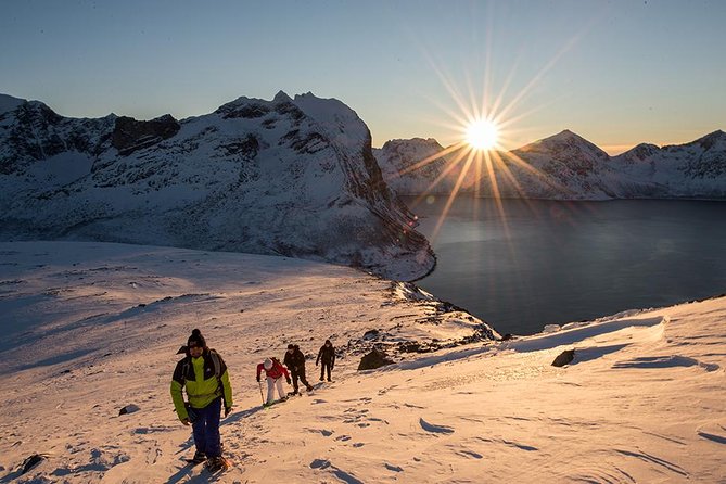 Tromso Snowshoeing - Valley, Fjord Views, Wildlife, Meal & Pickup - Snowshoes depend on the snow