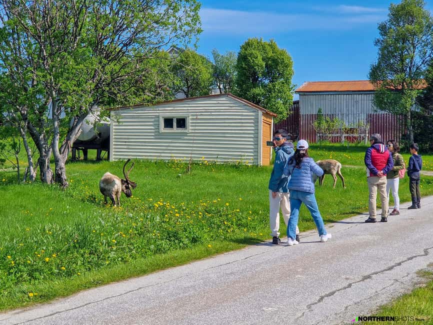 Tromsø: Sommaroy Fjord Tour with Lunch Option & Midnight Sun - Should you book the Sommarøy fjord tour?