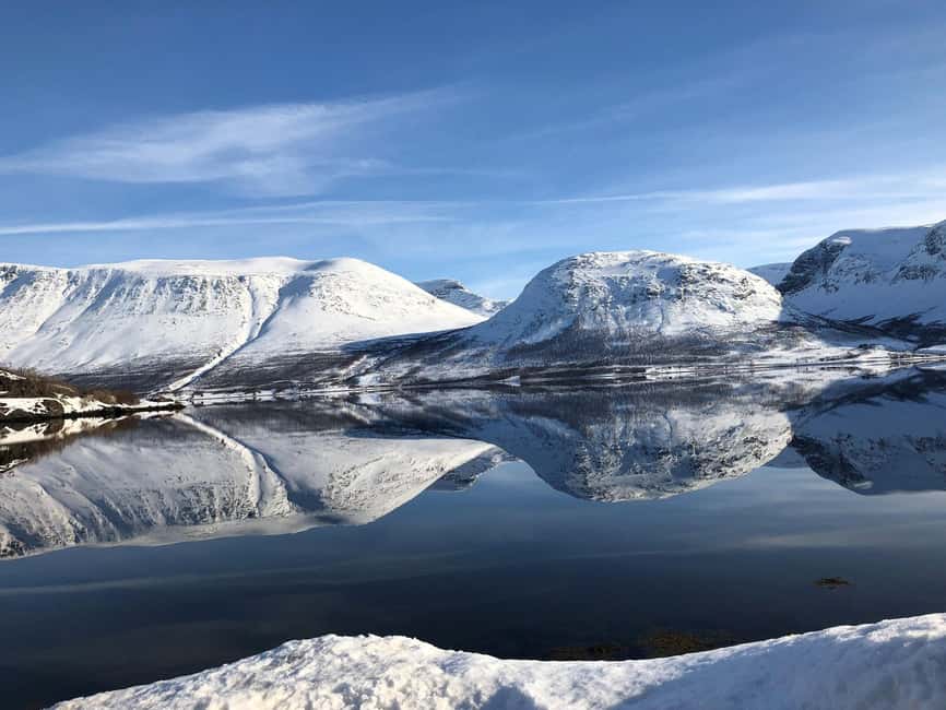 Tromsø Whale Safari with MS Gabriele - Booking advice and final verdict