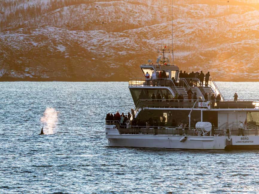 Tromsø: Whale Watching Tour by Hybrid-Electric Boat - Food, drinks, and the long ride home