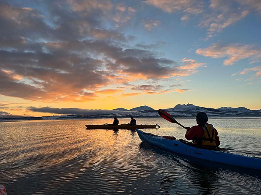 Tromsø: Winter Sea Kayaking Tour with Wildlife Sightings - Why winter is a fine time to kayak near Tromsø