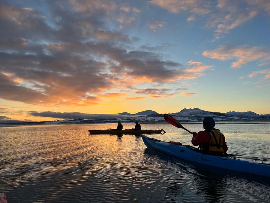 Tromsø: Winter Sea Kayaking Tour with Wildlife Sightings - Wildlife along the fjord