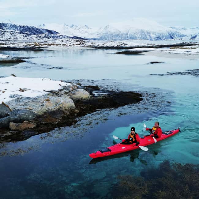 Tromsø: Winter Sea Kayaking Tour with Wildlife Sightings - How much value do you get for $191?