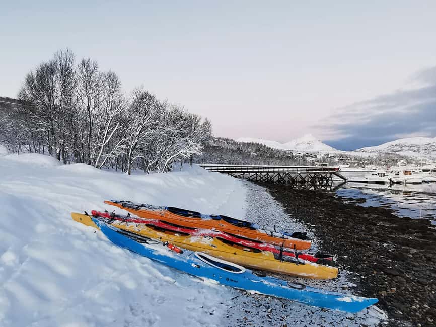 Tromsø: Winter Sea Kayaking Tour with Wildlife Sightings - Weather, cancellations, and what to pack