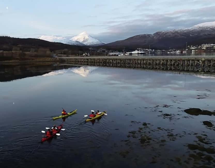 Tromsø: Winter Sea Kayaking Tour with Wildlife Sightings - Who should book this Tromsø kayak tour?