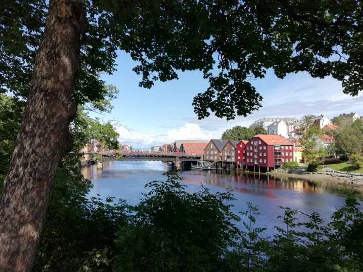 Trondheim : Explore the city of kings with a local guide - Walking to Nidaros Cathedral