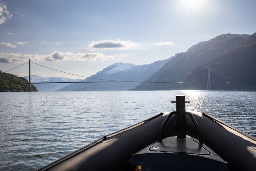 Ulvik: Hardangerfjord Ultimate RIB Tour - Beneath the Hardanger Bridge