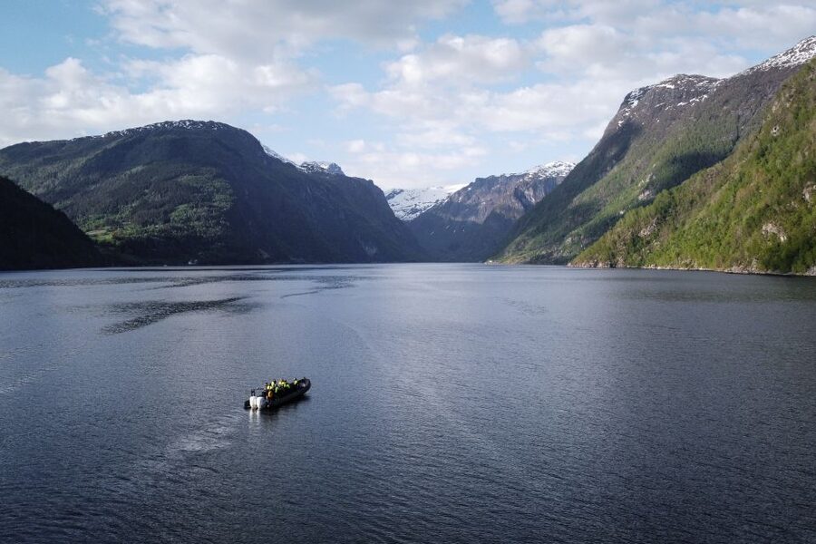 Ulvik: Hardangerfjord Ultimate RIB Tour - What the high-speed sections are really like