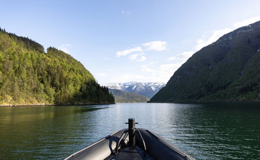 Ulvik: Hardangerfjord Ultimate RIB Tour - The captain and the value of the commentary