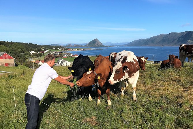 Viking Islands from Alesund: 5-Hour Private Group Tour - Giske Church and a 12th-century island story