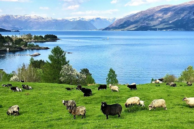 Viking Islands from Alesund: 5-Hour Private Group Tour - Aksla Mountain for the classic Alesund view