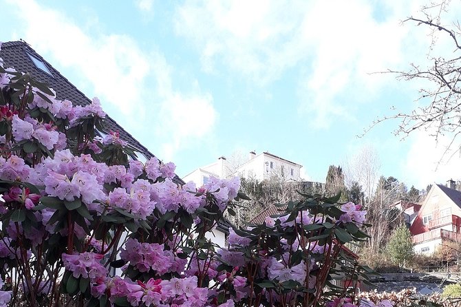 Walking tour: Medieval Spirit of Bergen + sweet Arctic gifts - Bryggen and the Hanseatic merchants