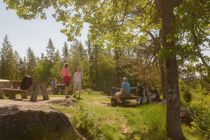 Wildlife Forest Hike - Who should book this hike