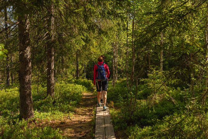 Wildlife Forest Hike - Cancellation and planning details