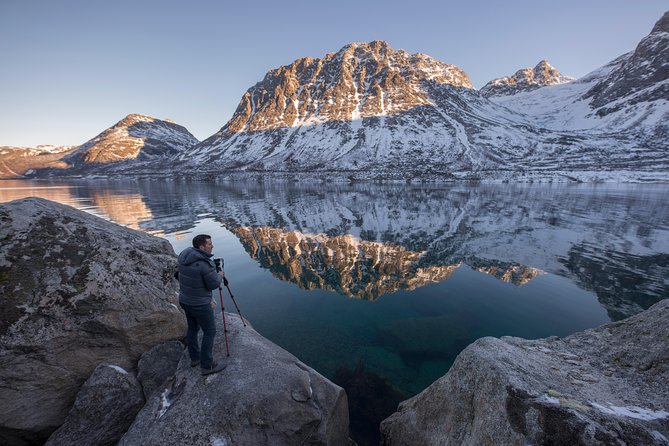 Winter Fjord Road Trip with Wandering Owl - Wildlife, reindeer, and the idea of a study