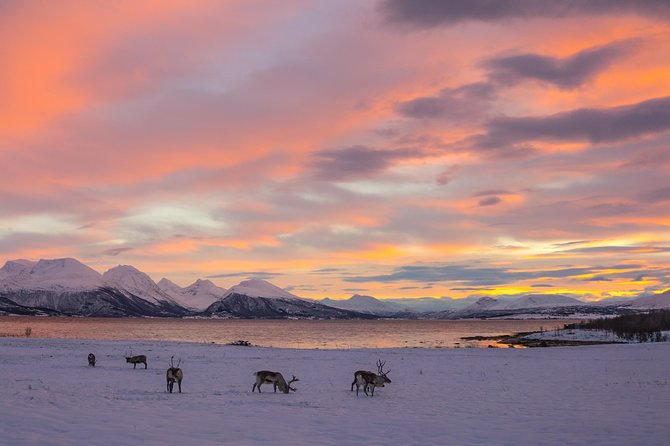 Winter Fjord Road Trip with Wandering Owl - The beach picnic and what lunch really means