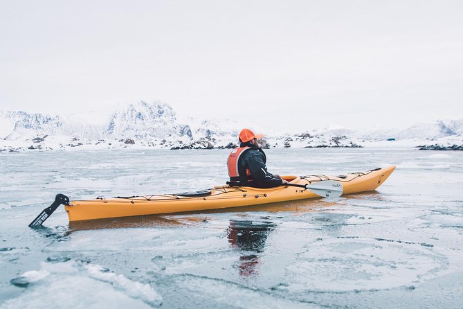 Winter Half Day Kayak Tour - Coffee, cookies, and a practical winter pause