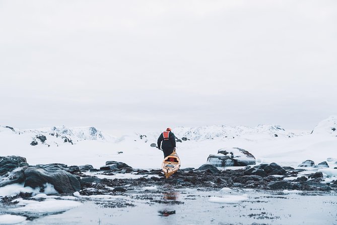 Winter Half Day Kayak Tour - What the $118.45 price buys you