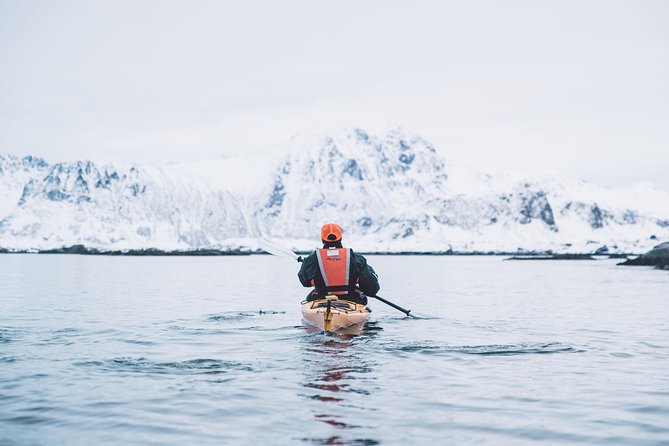Winter Half Day Kayak Tour - Weather, cancellations, and the right expectations