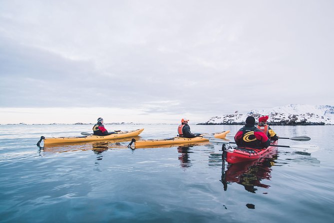 Winter Half Day Kayak Tour - Who will enjoy this three-hour tour